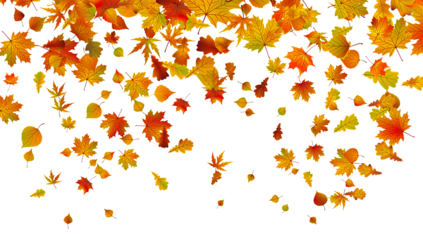Fall Leaves PNG Pic Background