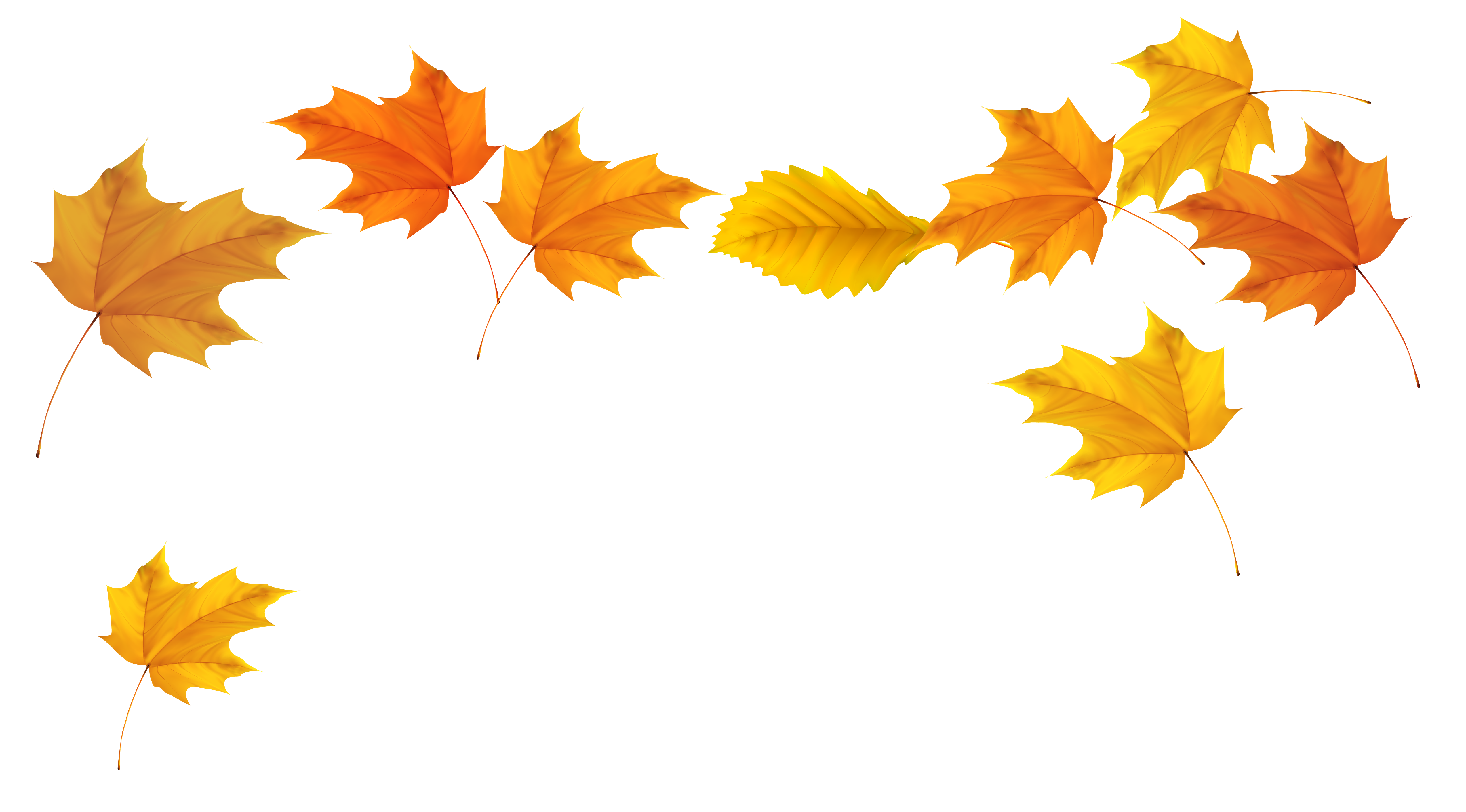 Fall Leaves Transparent Free PNG