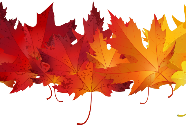 Fall Leaves Transparent Images