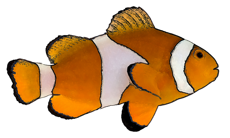 Finding Nemo PNG Pic Clip Art Background