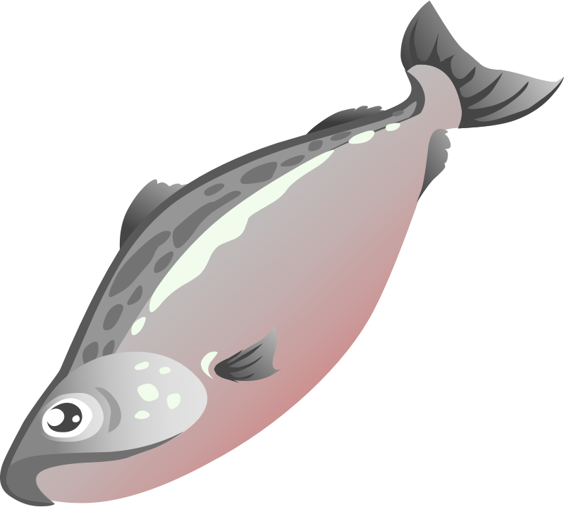 Fish Clipart No Background