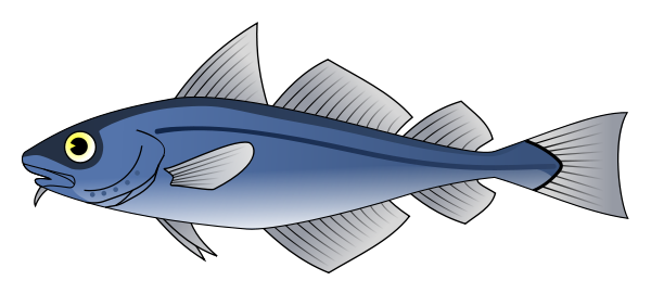 Fish Clipart Transparent Free PNG