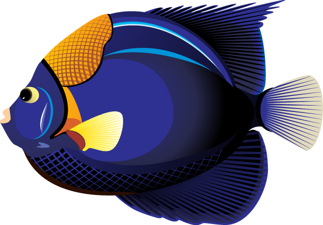 Fish Clipart Transparent PNG