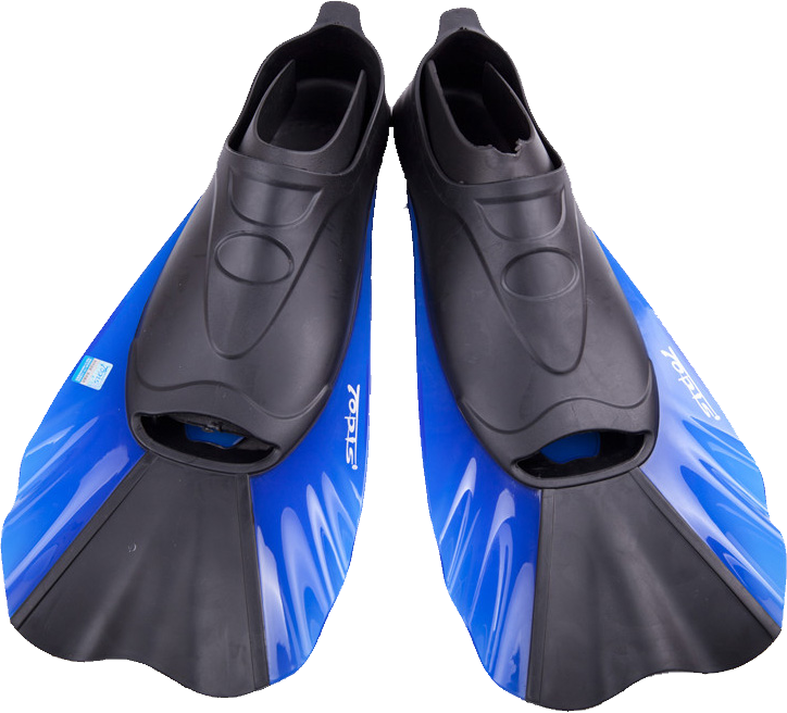 Flippers Transparent Clip Art Image