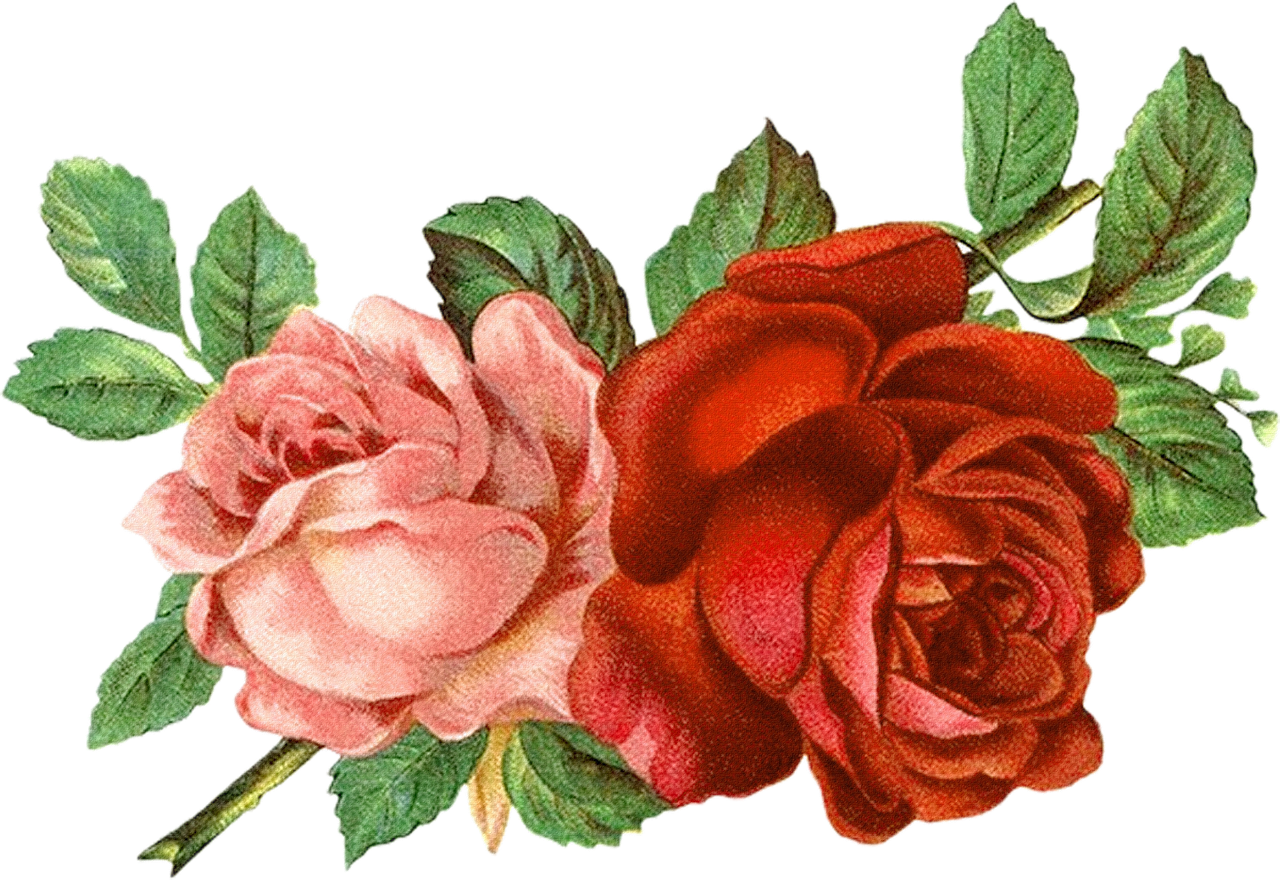 Flower Clip Art Free Picture PNG