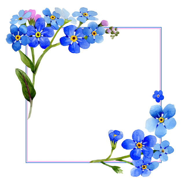 Flower Colorful Background PNG
