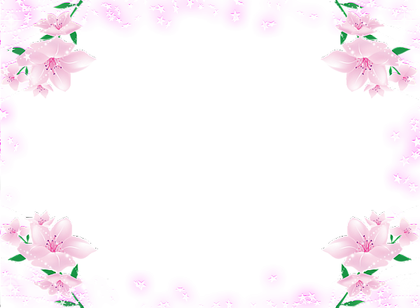 Flower Colorful PNG Pic Background