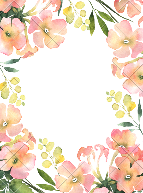 Flower Colorful Transparent Background