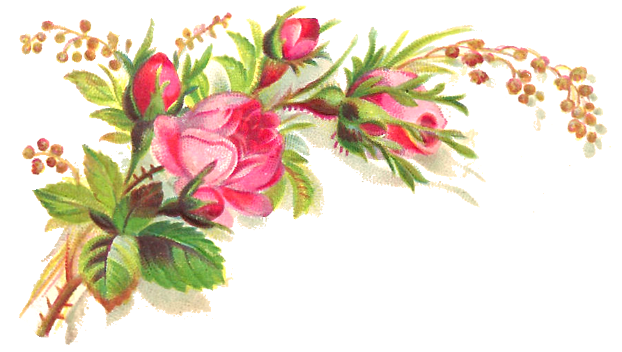 Flower Colorful Transparent PNG