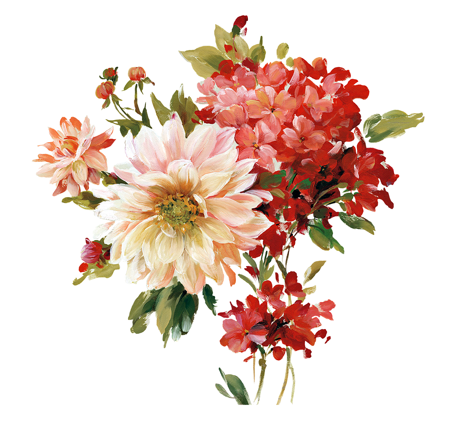 Flower Drawings Free Picture PNG