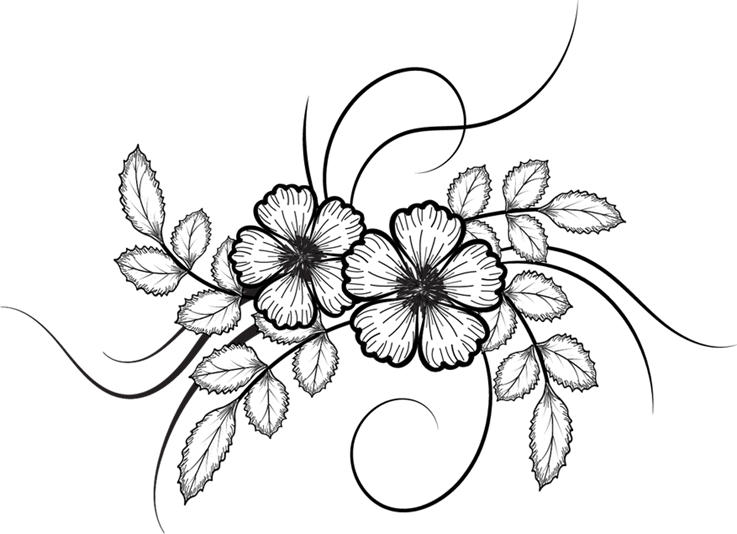  Dibujos de flores PNG transparente