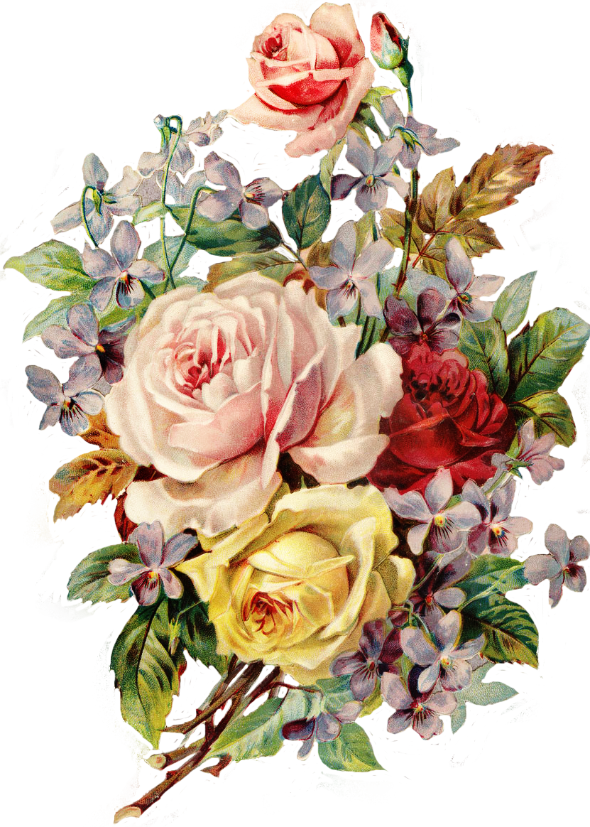 Flower PNG Background