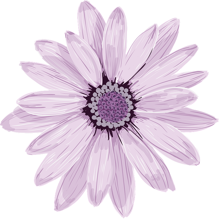 Flower PNG Photo Image