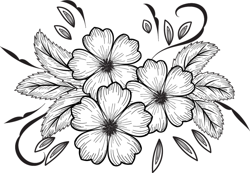 Flowers For Drawing Background PNG Image