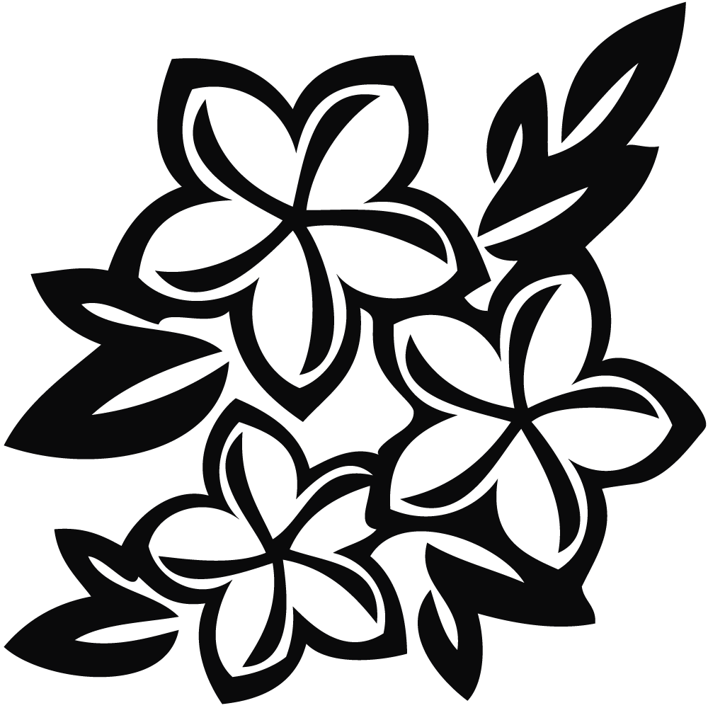 Flowers For Drawing PNG HD Quality