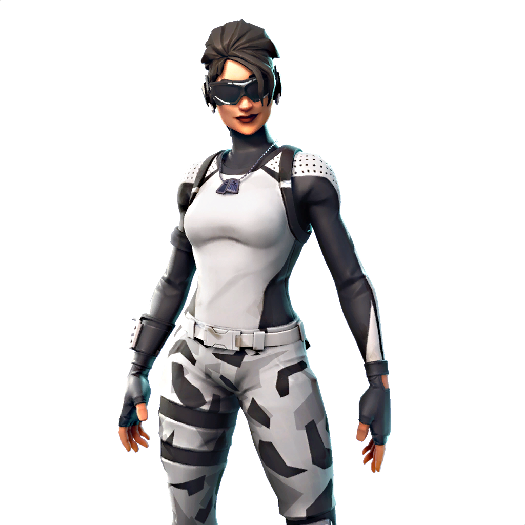 Fornite Aerobic Assassin Free Picture PNG