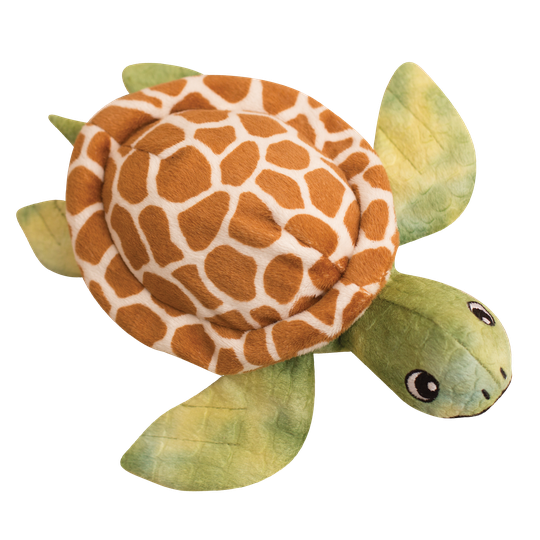 Franklin The Turtle Download Free PNG