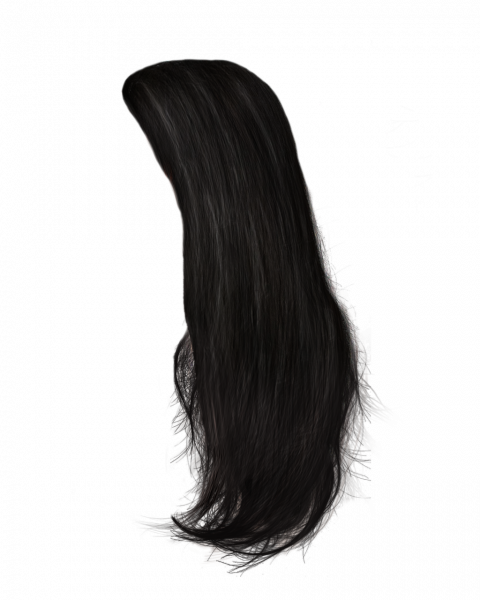 Free Roblox Black Hair PNG Transparent With Clear Background ID 471523