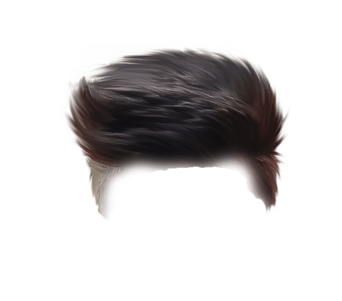 Free Roblox Hair PNG Photos | PNG Play