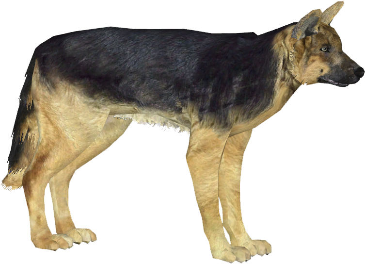 German Shepherd Background PNG Clip Art Image