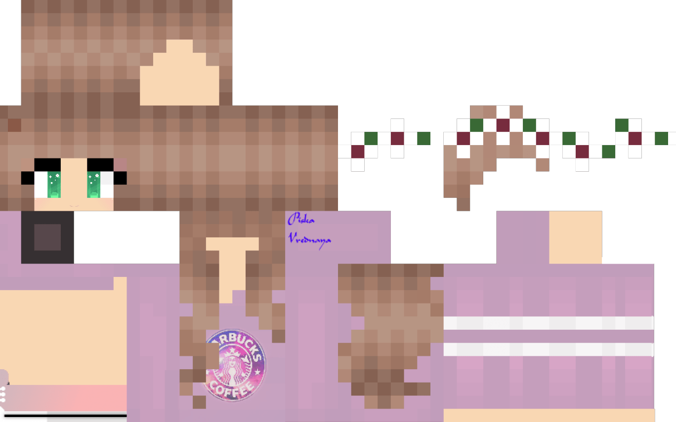 Girl Minecraft Skins Free Picture PNG