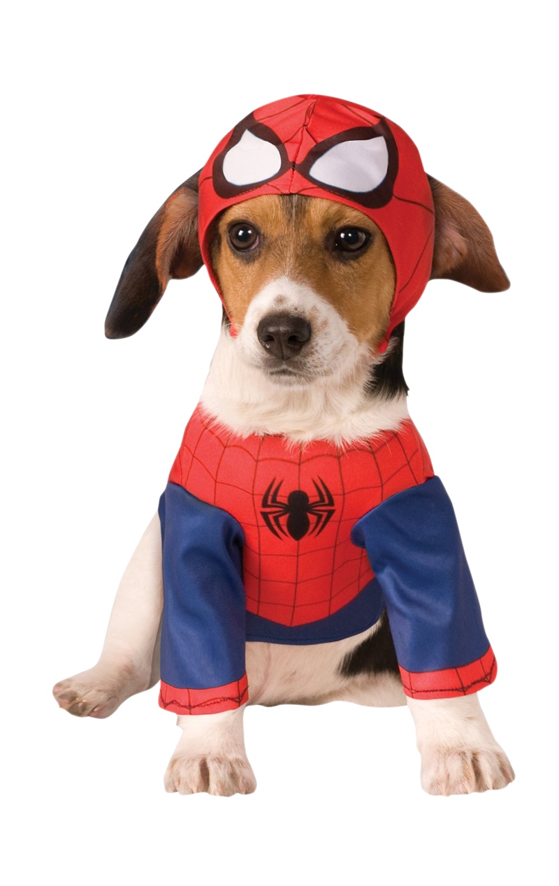 Halloween Costumes Dogs PNG Clipart Background