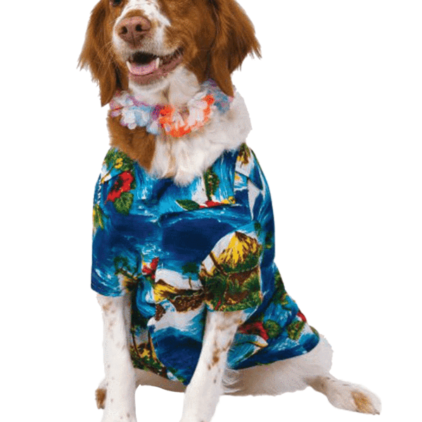 Halloween Costumes Dogs PNG HD Quality