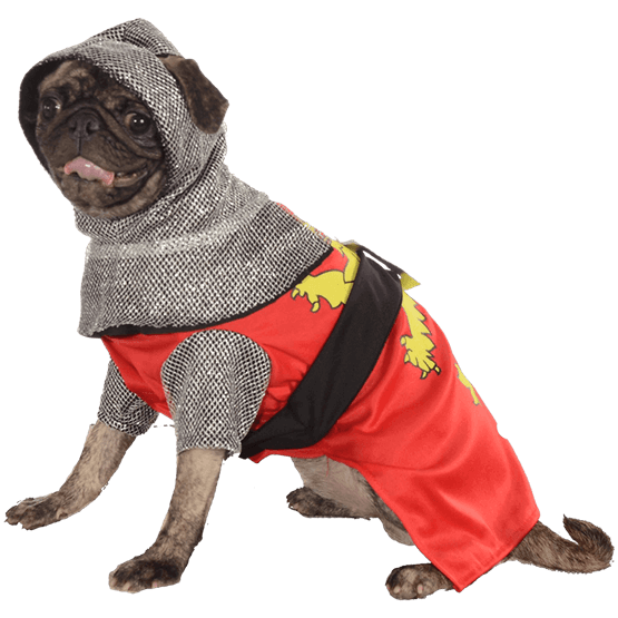 Halloween Costumes Dogs PNG Images HD