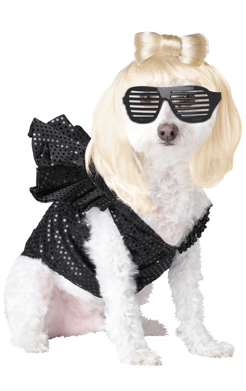 Halloween Costumes Dogs Transparent Background
