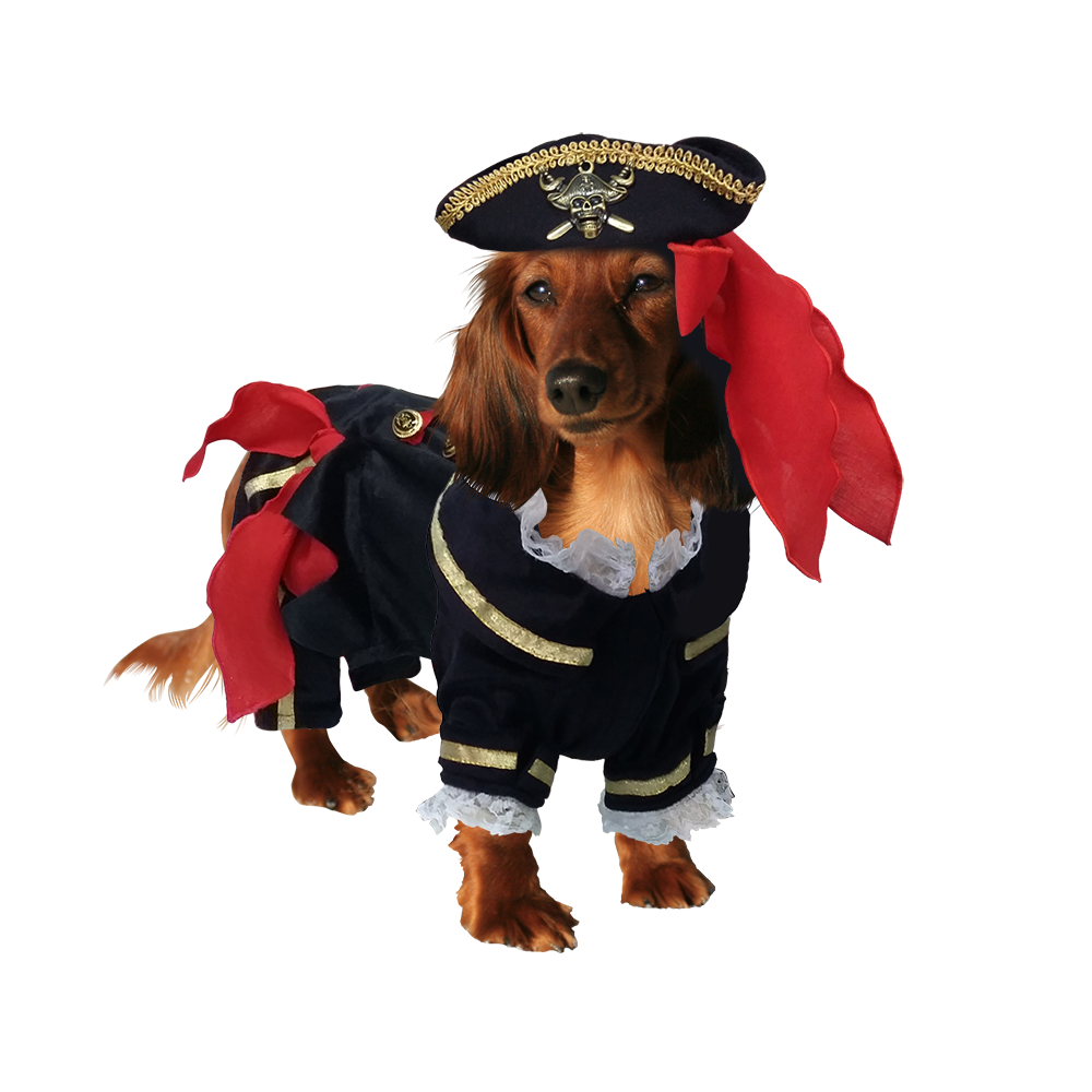 Halloween Costumes Dogs Transparent File