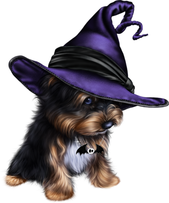 Halloween Costumes Dogs Transparent Image