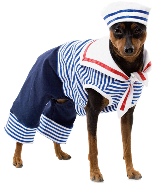 Halloween Costumes Dogs Transparent Images
