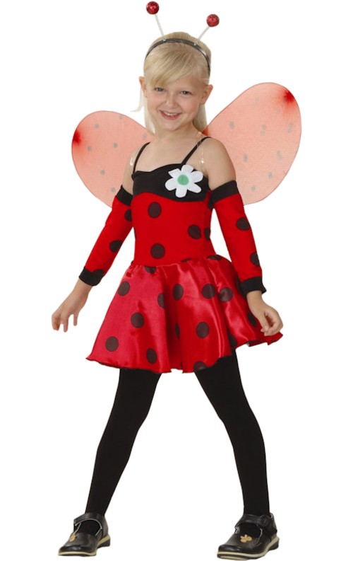 Halloween Costumes Ladybug Transparent PNG