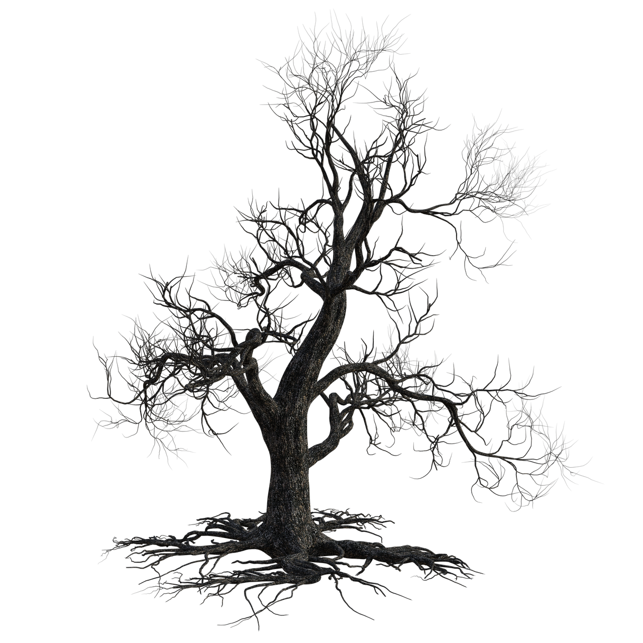 Halloween Tree PNG Free File Download