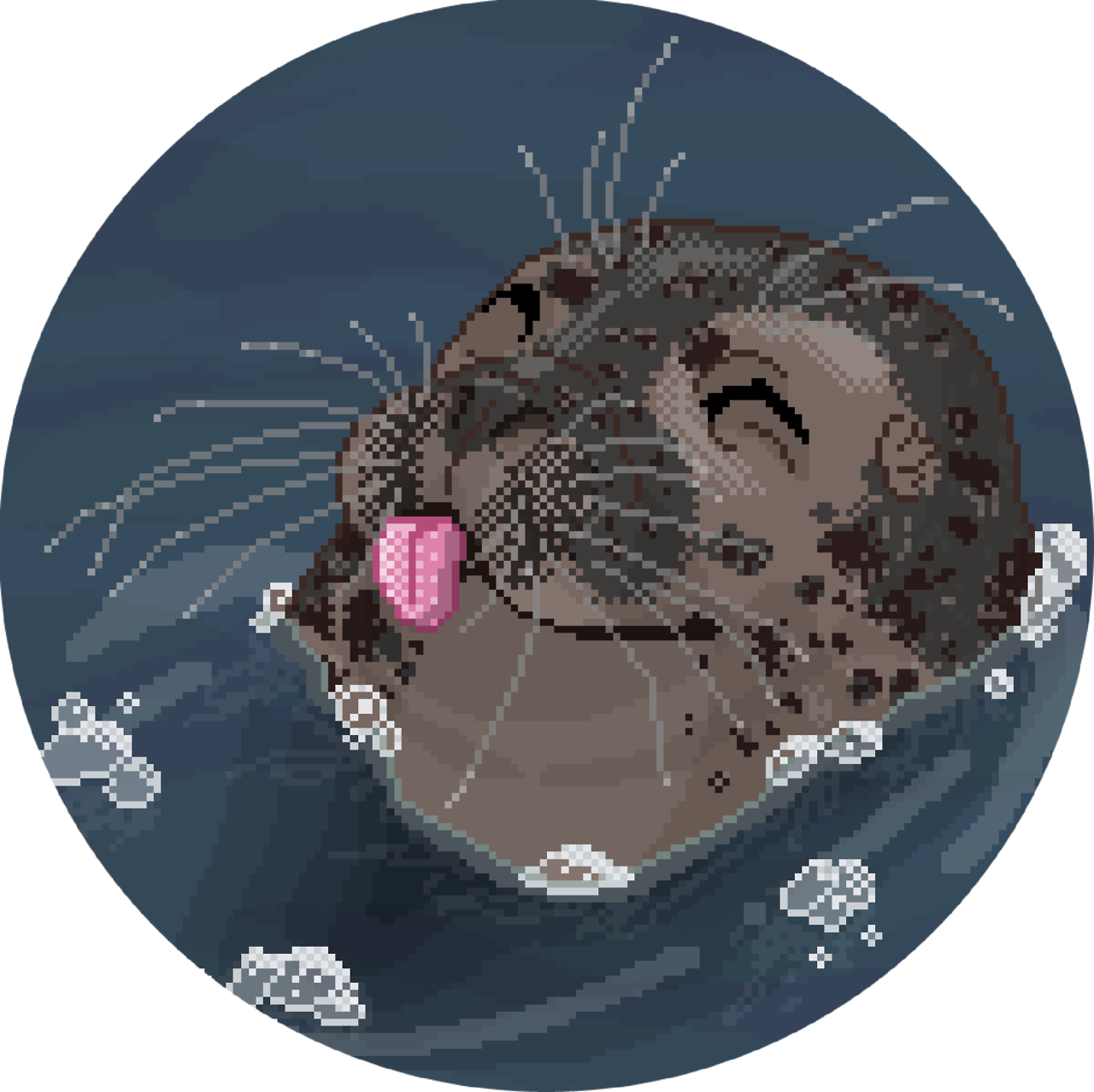 Harbor Seal Transparent Clip Art Image