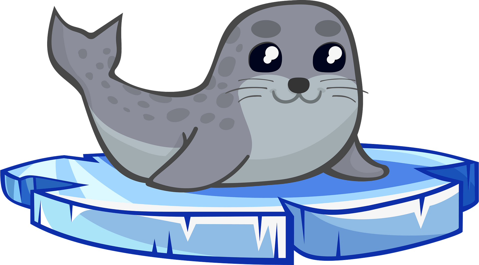 Harbor Seal Transparent File Clip Art