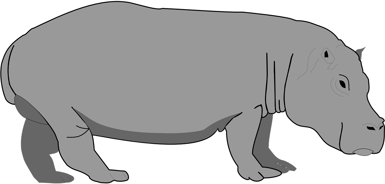 Hippo PNG Pic Background