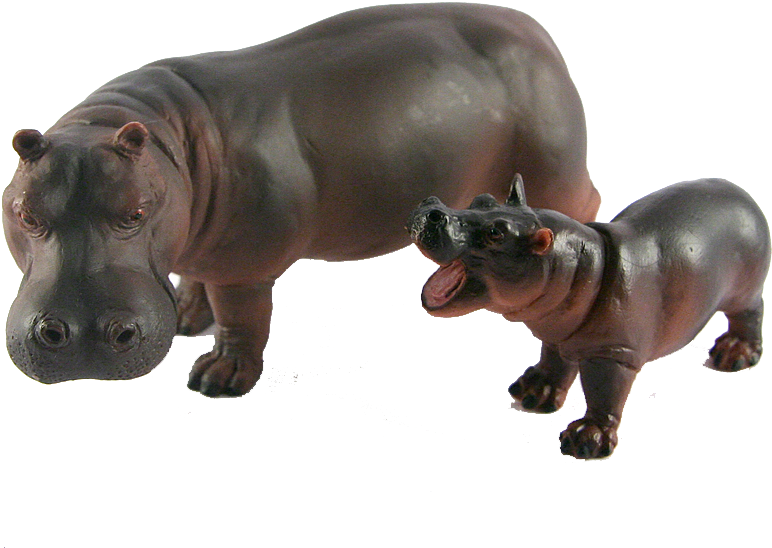 Hippo Transparent Clip Art Background