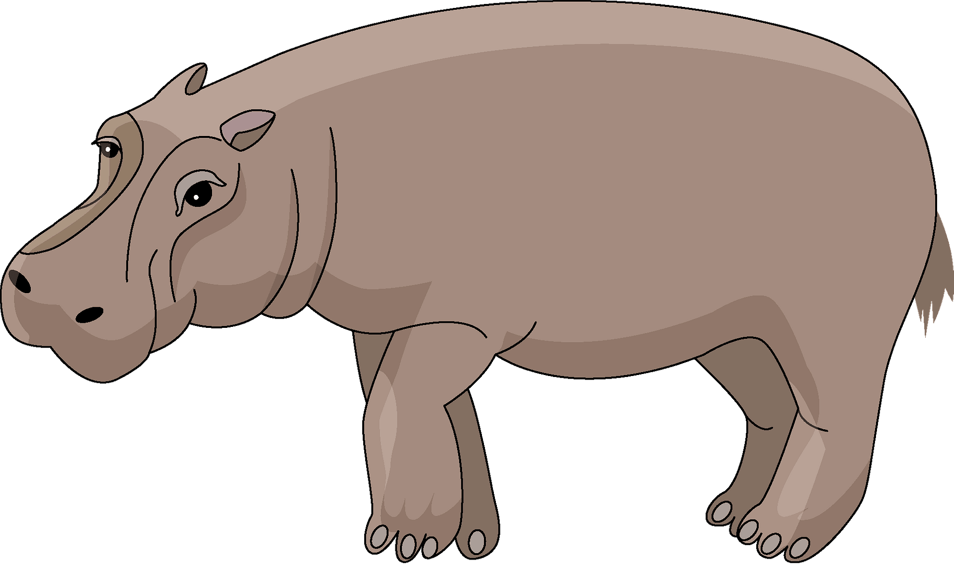 Hippo Transparent File Clip Art