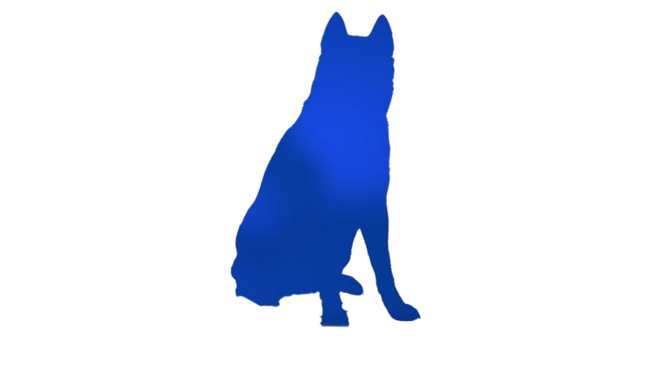 Husky PNG Clipart Background