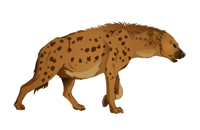 Hyena Download Free PNG Clip Art