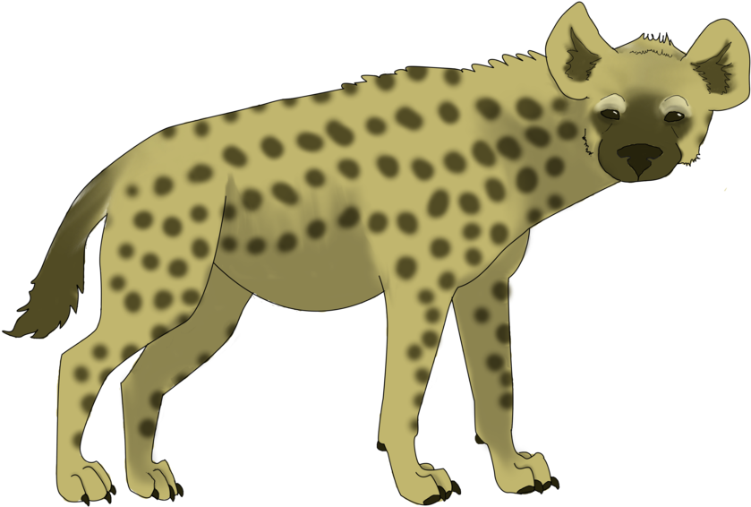 Hyena Transparent File Clip Art