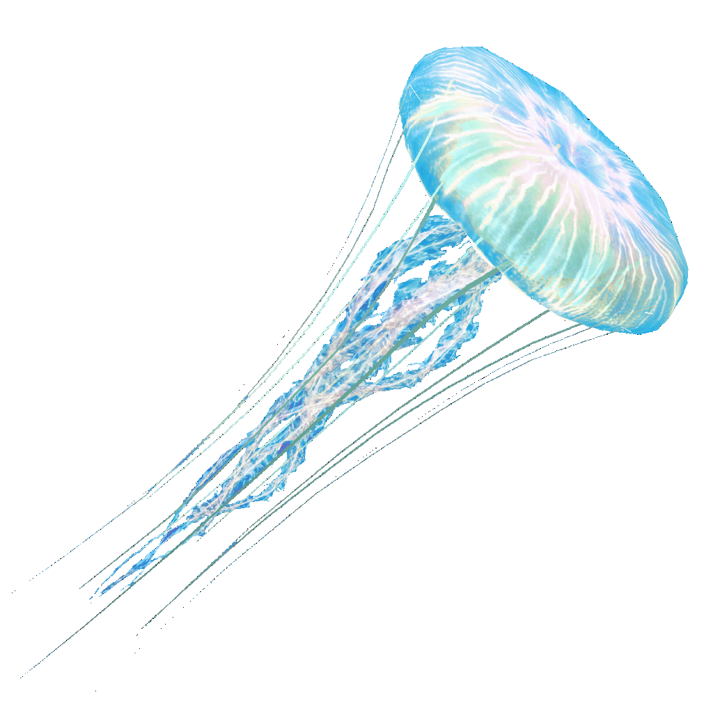 Jellyfish Background PNG Clip Art