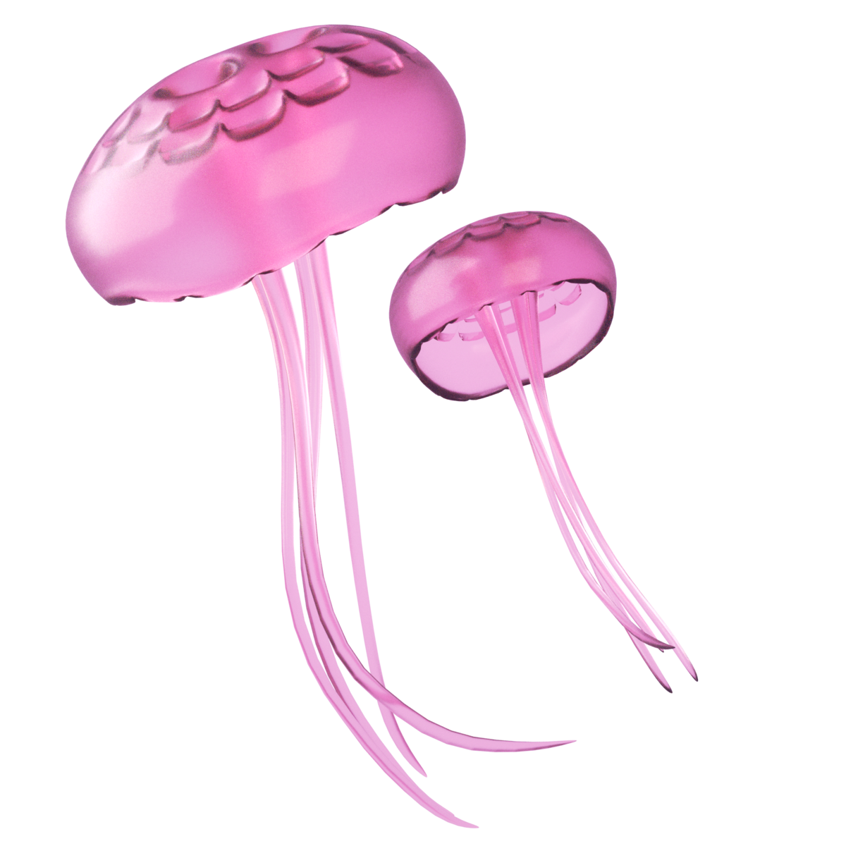 Jellyfish Free PNG Clip Art