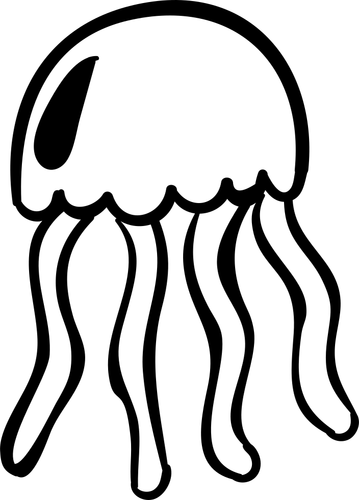 Jellyfish PNG HD Quality