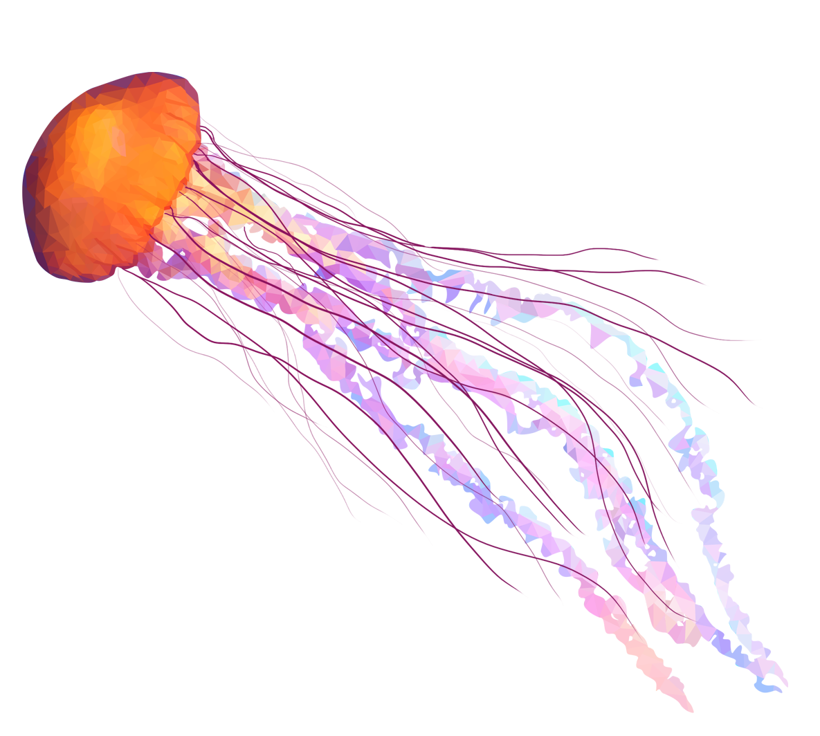 Jellyfish PNG Photo Clip Art Image