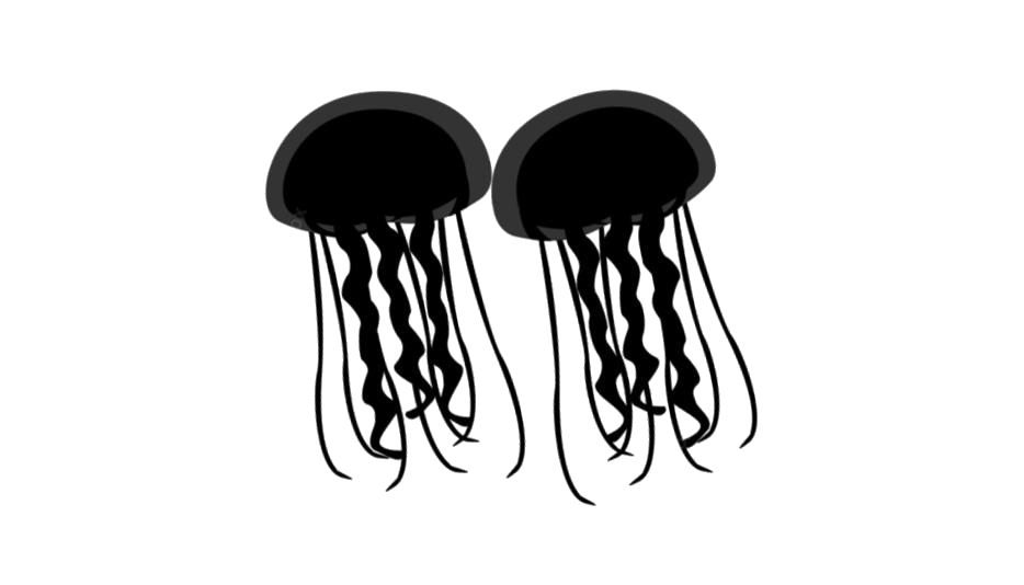 Jellyfish Transparent Background