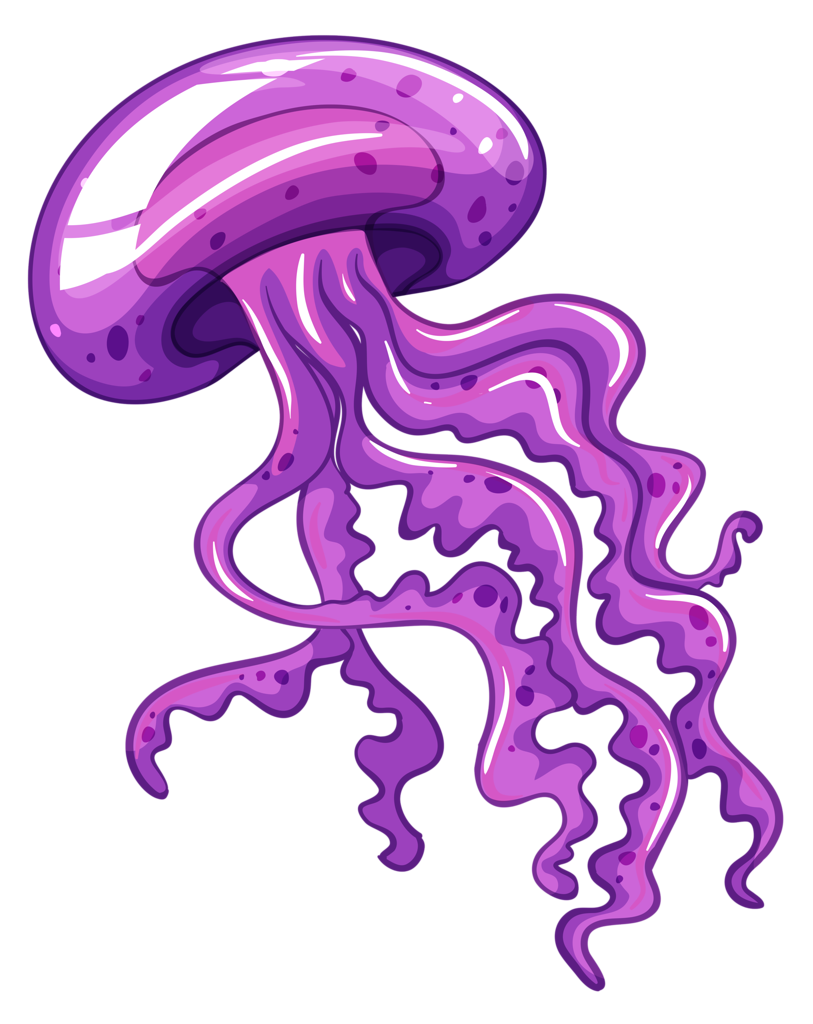 Jellyfish Transparent Clip Art PNG