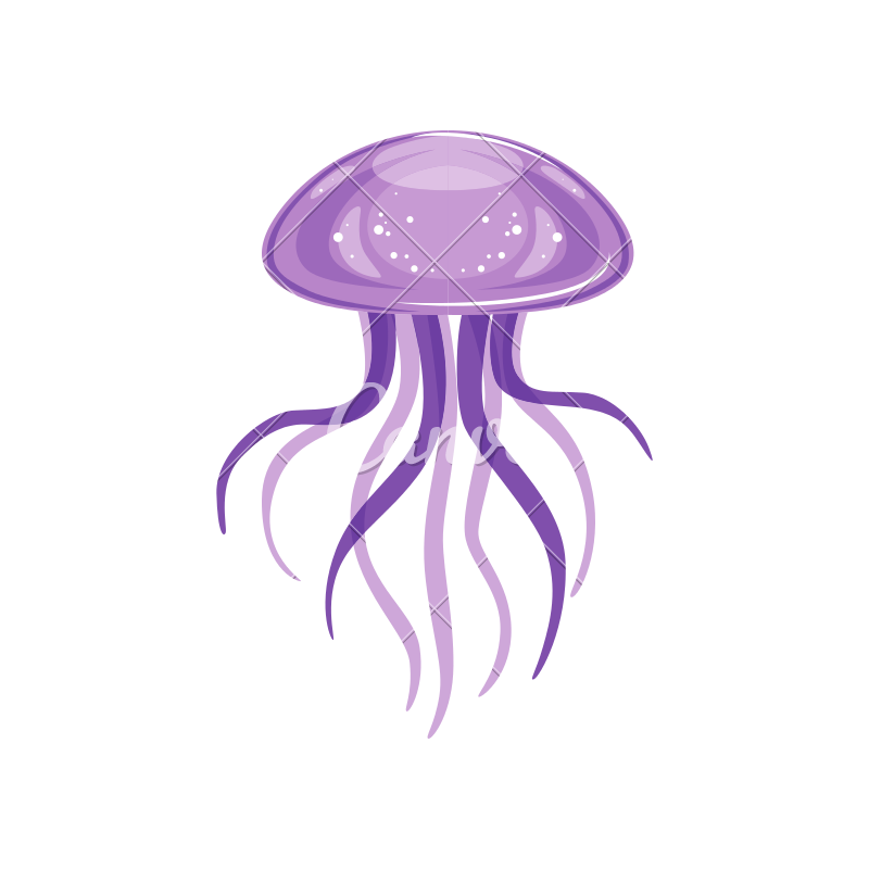 Jellyfish Transparent File Clip Art