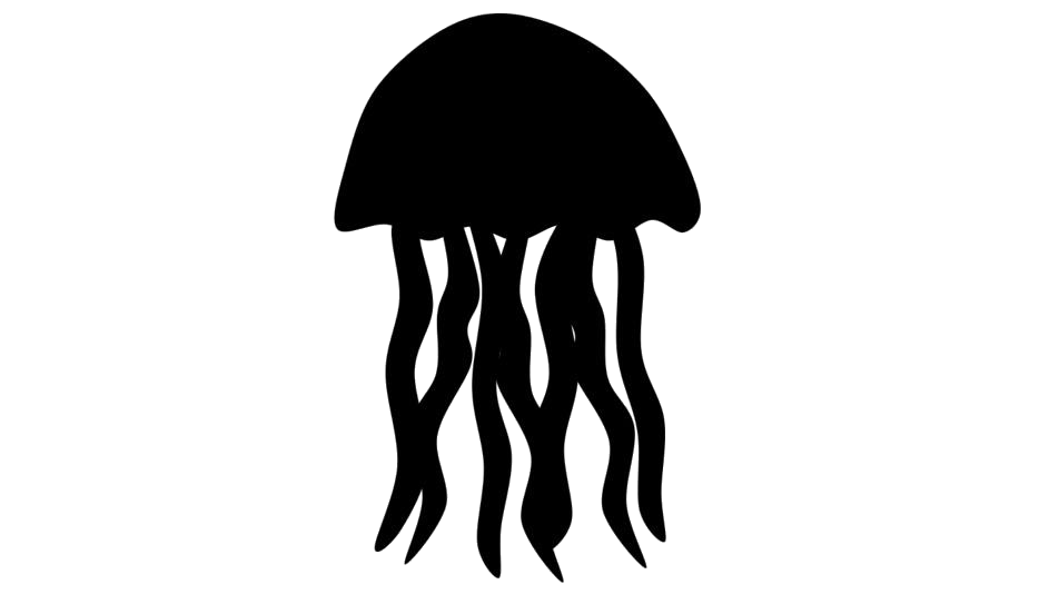 Jellyfish Transparent Images